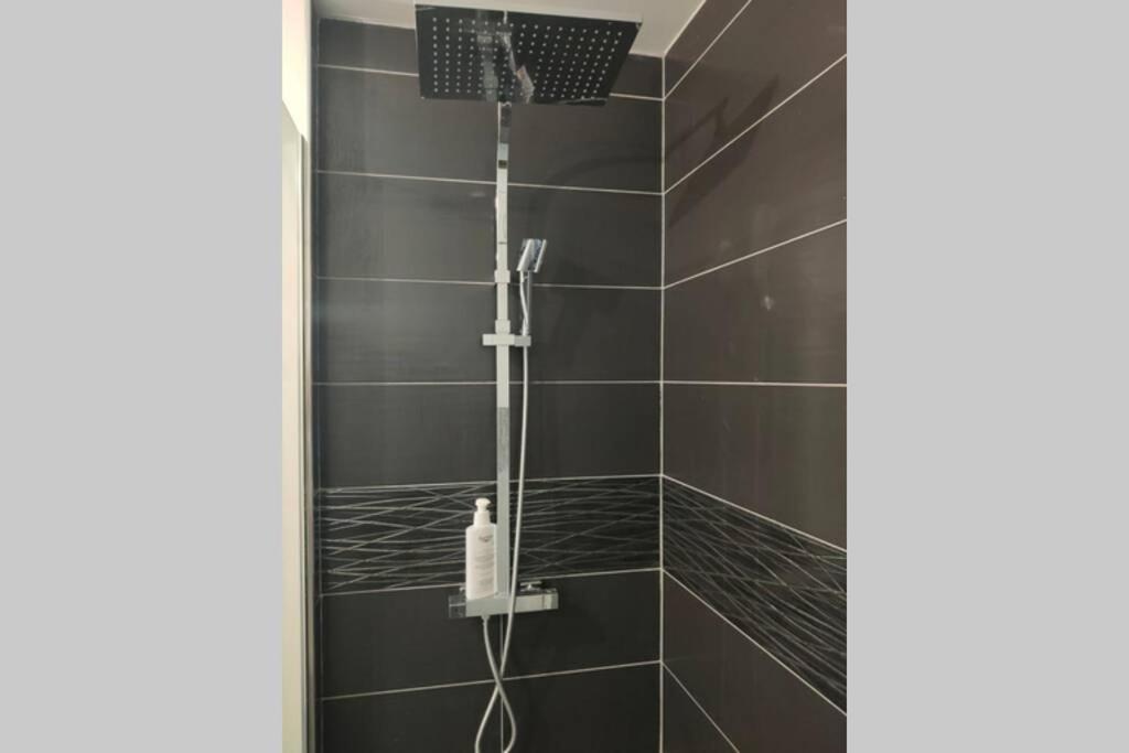 Logement Entier+ Jardin Prive Et Parking 2Places Rouen Zewnętrze zdjęcie
