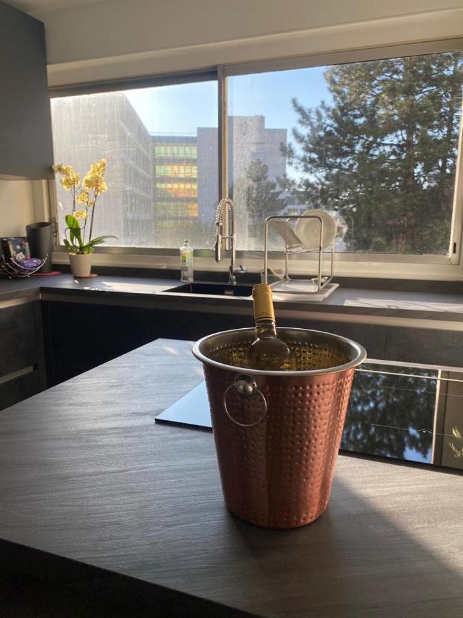 Logement Entier+ Jardin Prive Et Parking 2Places Rouen Zewnętrze zdjęcie